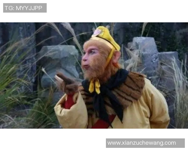 悟空的七十二变与品牌名称的无限可能性探秘之旅